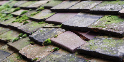 Calcot roof repair costs